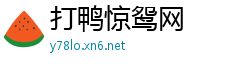 打鸭惊鸳网